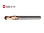 BYB 2000 (ENDMILL) - BOOYOUNG